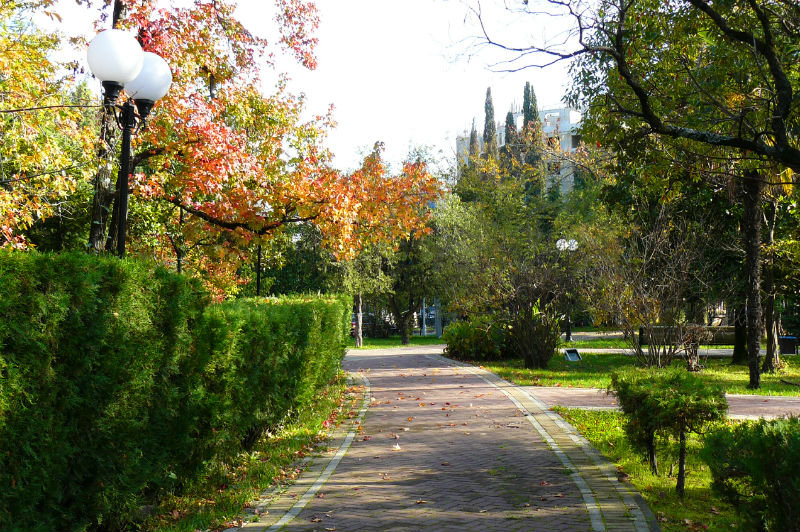 В парке есть зеленые зоны и зоны с аттракционами Парк в Евпатории куда сходить с детьми
